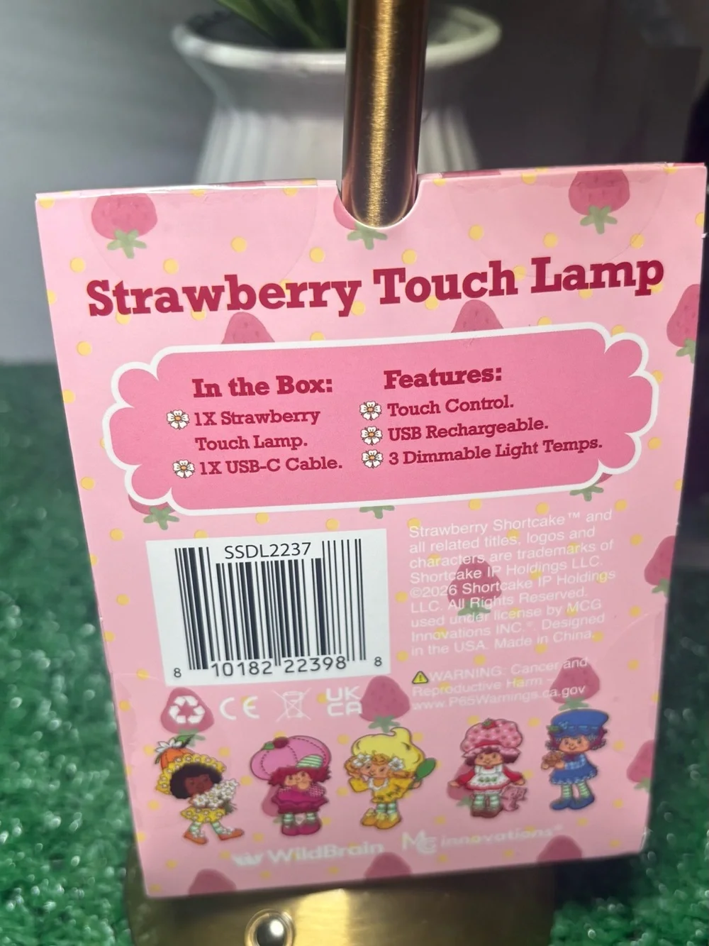 Strawberry Shortcake  Touch Lamp USB Rechargeable 3 Dimmable Settings